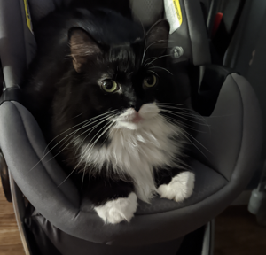 Clawdette